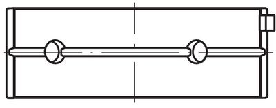 Crankshaft Bearing MAHLE 007 HL 21895 000