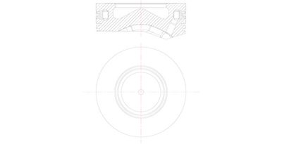 Piston MAHLE 081 PI 00105 000