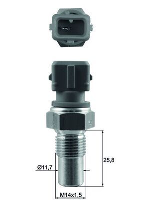 MAHLE TSE 20 Sensor, coolant temperature