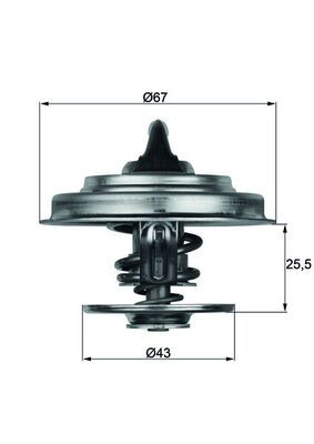 MAHLE TX 18 79 Thermostat, coolant