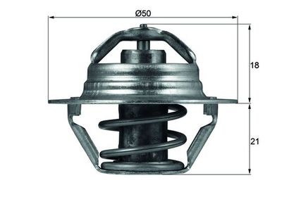 Thermostat, coolant MAHLE TX 100 89D