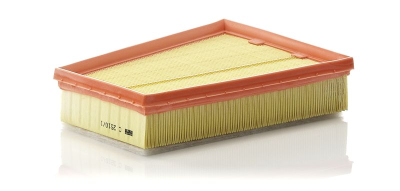 MANN-FILTER C 2510/1 Air Filter