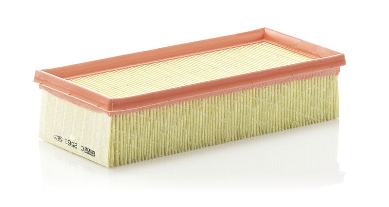 MANN-FILTER C 2561 Air Filter