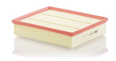 Air Filter MANN-FILTER C 29 036