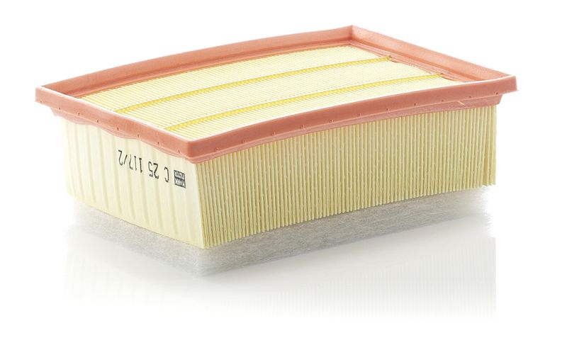 MANN-FILTER C 25 117/2 Air Filter