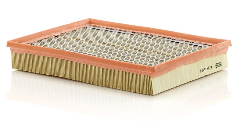 MANN-FILTER C 33 189/1 Air Filter