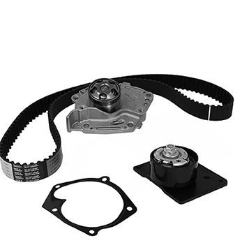 Water Pump & Timing Belt Kit METELLI 30-1095-1