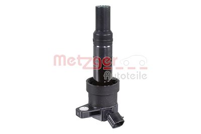 Ignition Coil METZGER 0880531
