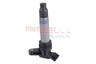 Ignition Coil METZGER 0880553