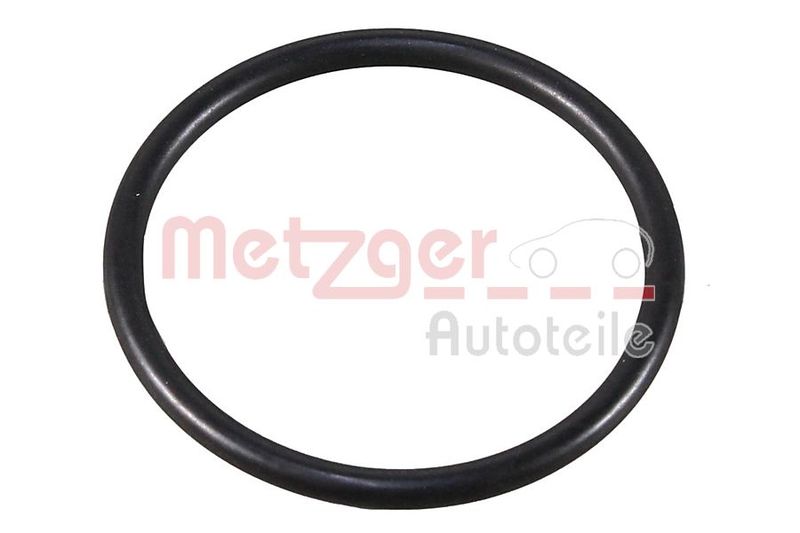 METZGER 4010509 Seal Ring, coolant pipe