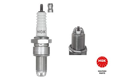 Spark Plug NGK 1263