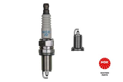 Spark Plug NGK 1691