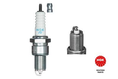 Spark Plug NGK 2023