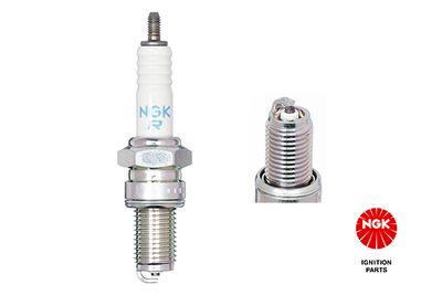 Spark Plug NGK 3123