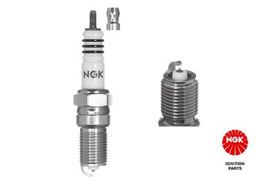 Spark Plug NGK 3344