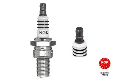 Spark Plug NGK 3520