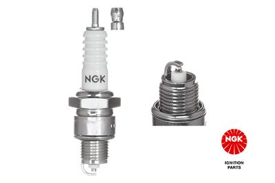 Spark Plug NGK 3611