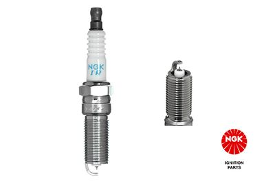 Spark Plug NGK 3789