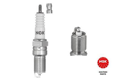 Spark Plug NGK 3812