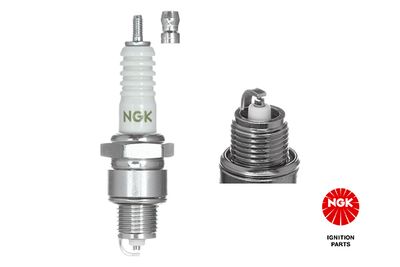 Spark Plug NGK 3975