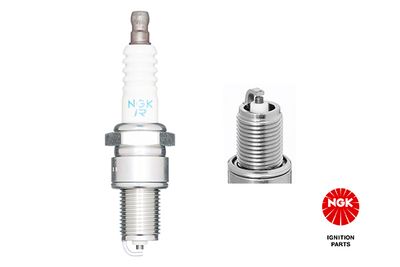 Spark Plug NGK 4424