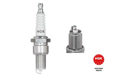 Spark Plug NGK 4691