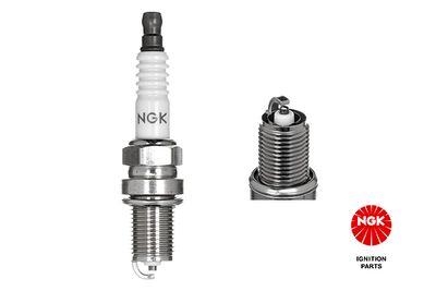 Spark Plug NGK 4930