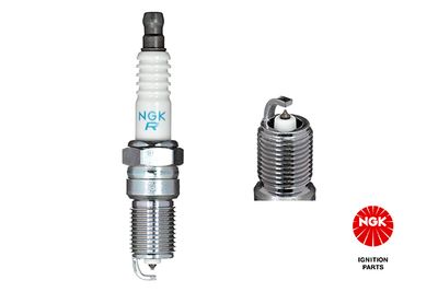 Spark Plug NGK 4968