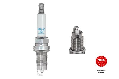 Spark Plug NGK 5960