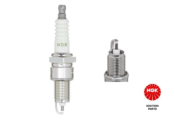 NGK 6029 Spark Plug