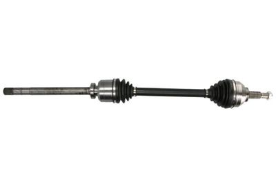 Drive Shaft PASCAL G21024PC