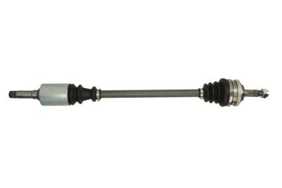 Drive Shaft PASCAL G2C008PC