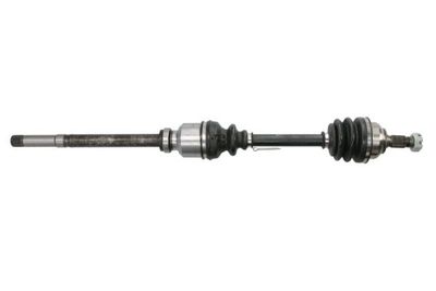 Drive Shaft PASCAL G2C010PC