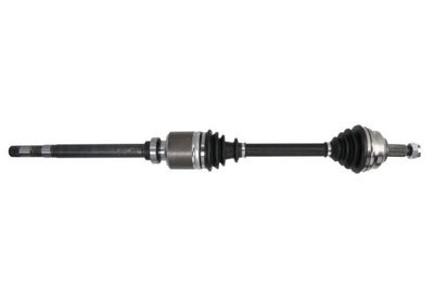 Drive Shaft PASCAL G2C045PC