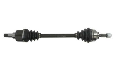 Drive Shaft PASCAL G2C061PC