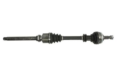 Drive Shaft PASCAL G2C117PC