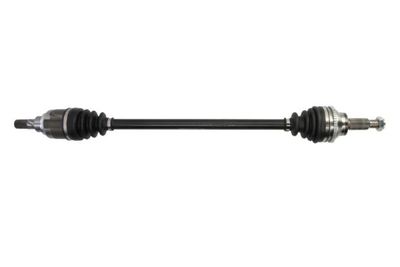 Drive Shaft PASCAL G2E015PC