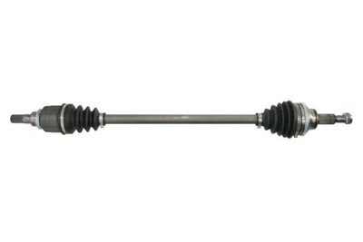 Drive Shaft PASCAL G2E024PC