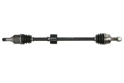 Drive Shaft PASCAL G2F009PC