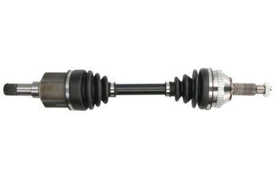 Drive Shaft PASCAL G2G009PC