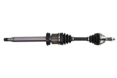 Drive Shaft PASCAL G2G019PC