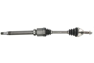 Drive Shaft PASCAL G2G041PC