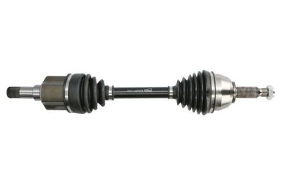 Drive Shaft PASCAL G2G042PC