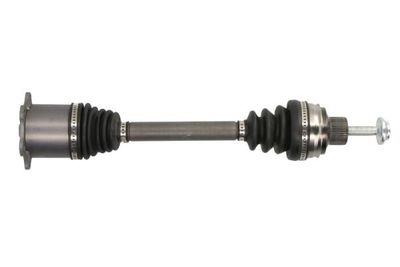 Drive Shaft PASCAL G2M019PC