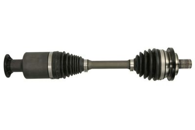 Drive Shaft PASCAL G2M031PC