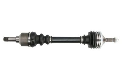 Drive Shaft PASCAL G2P007PC