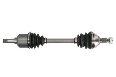 Drive Shaft PASCAL G2P024PC