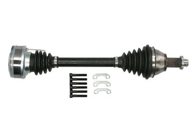 Drive Shaft PASCAL G2S006PC