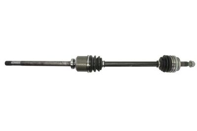 Drive Shaft PASCAL G2X001PC