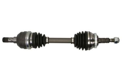 Drive Shaft PASCAL G2X021PC